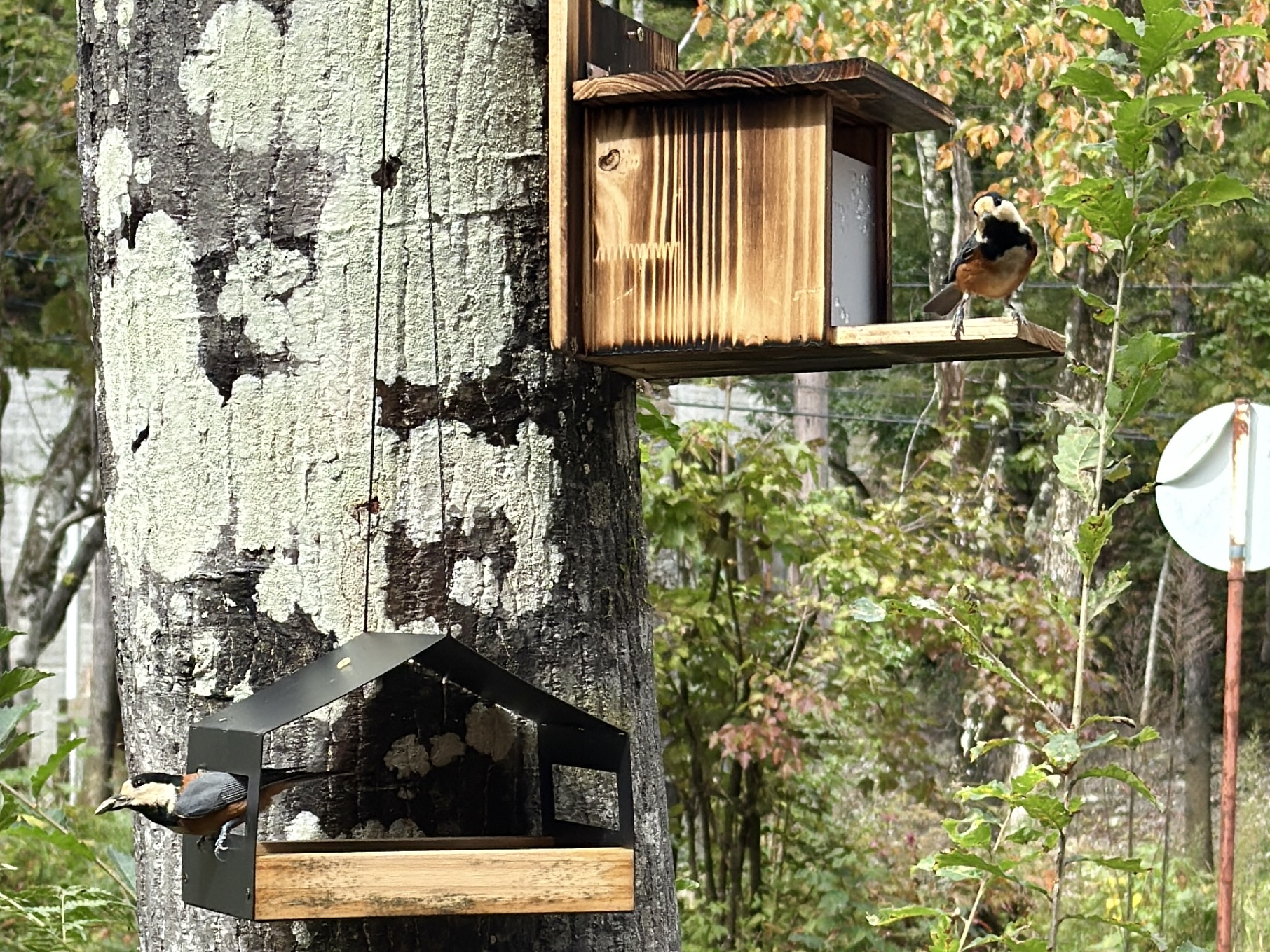 時間がゆっくり流れる場所